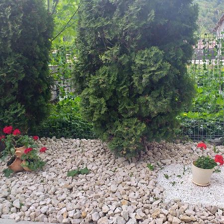 Miraj Hotel Azuga Bagian luar foto