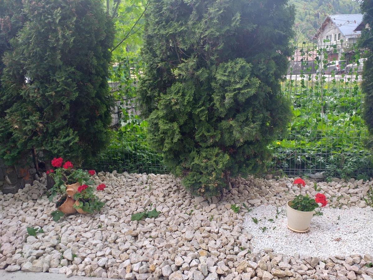 Miraj Hotel Azuga Bagian luar foto